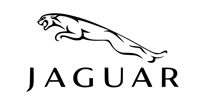 Dummy Logo